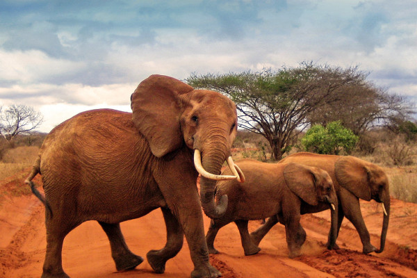 Kenya