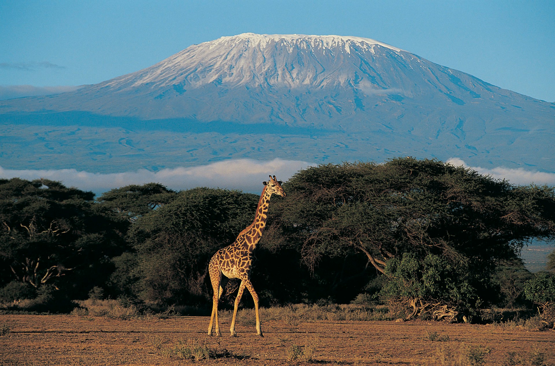 Kenya