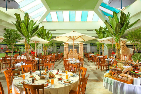 Xperience Kiroseiz Premier