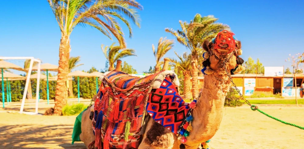 Legjobb egyiptomi hotelek 2026-ban: fókuszban Hurghada top 3 szállodája